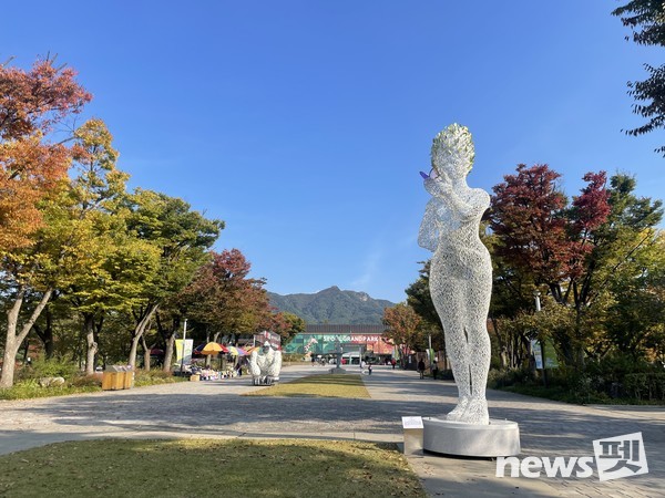 사진 서울대공원