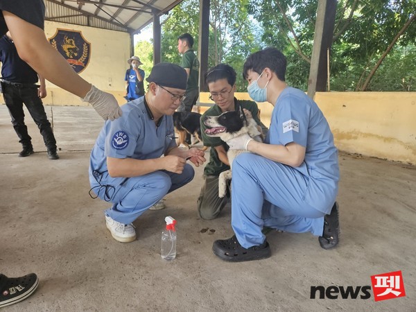 국경없는 수의사회가 지난 6일~10일 베트남 하노이에서 2차 해외 동물 의료봉사활동을 진행했다. 사진 국경없는수의사회