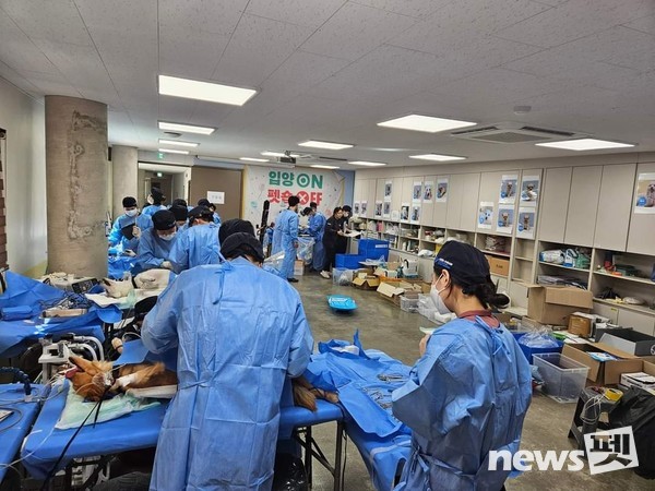 [사진=국경없는수의사회]