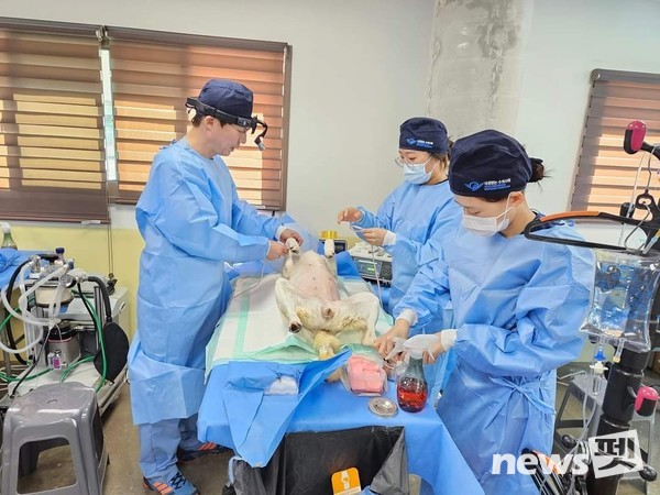 [사진=국경없는수의사회]