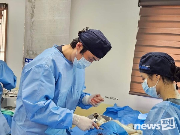 [사진=국경없는수의사회]