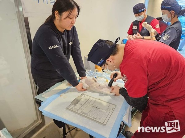 [사진=국경없는수의사회]