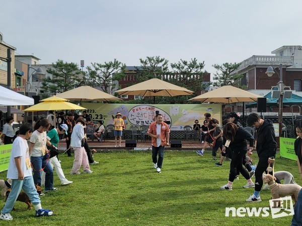 지난 9월 열린 반려동물 축제 ‘수원다함개’ 펫크닉에서 이웅종 연암대 교수가 바른 산책 교육을 진행하고 있다. 사진 KCMC문화원
