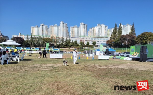 28~29일 양일간 천안시 오룡웰빙파크에서 ‘K-DOG FESTIVAL’이 개최됐다. ⓒ뉴스펫