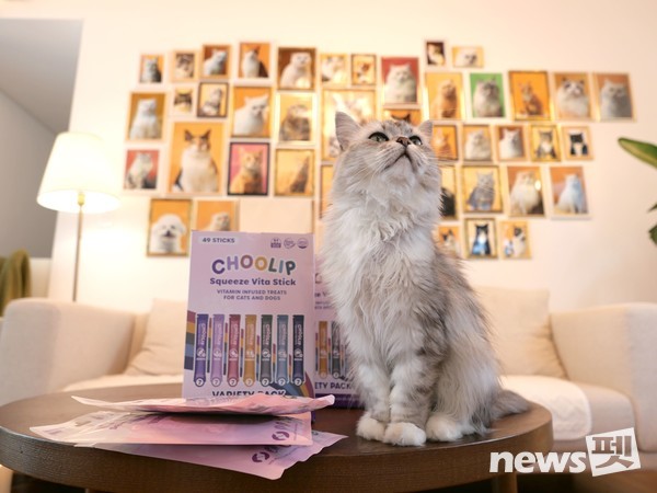 7가지 맛이 모두 포함된 ‘츌립(CHOOLIP)’ 버라어티팩. 사진 아이비알