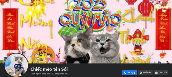 베트남 페이스북에서 활동하는 고양이 인플루언서 사진. 자료 코트라