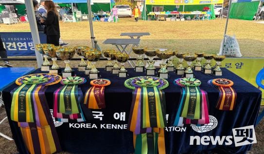 안성 도그쇼 수상자 트로피 및 로제트. 사진 한국애견연맹