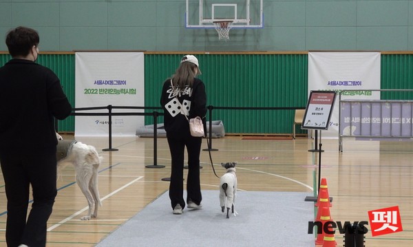 지난해 실기시험 모습. 사진 서울시