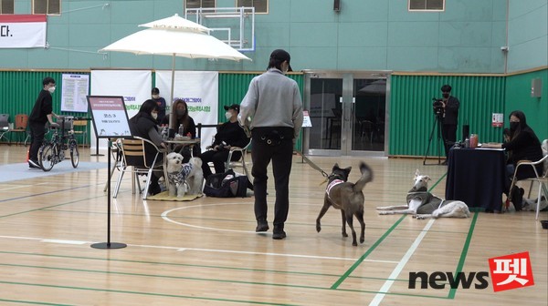 지난해 실기시험 모습. 사진 서울시