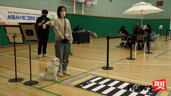 지난해 실기시험 모습. 사진 서울시