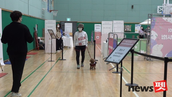 지난해 실기시험 모습. 사진 서울시