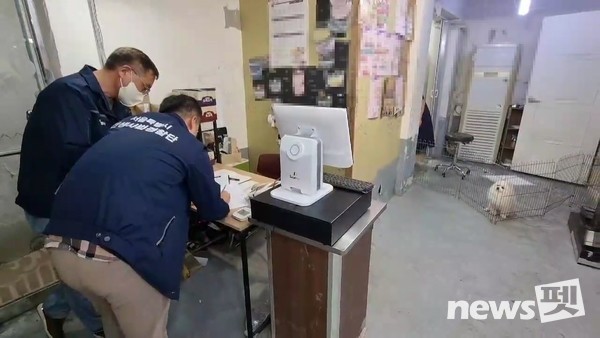 무등록 동물미용업소 단속 장면(무등록 영업 행위 적발). 사진 서울시