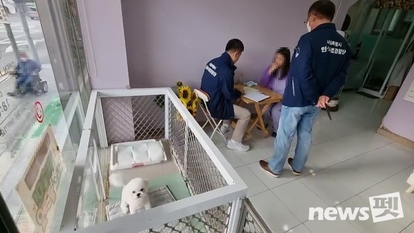 무등록 동물미용업소 단속 장면(종업원에게 동물보호법 위반 확인서 징구). 사진 서울시