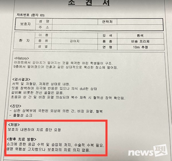 동물병원 측 소견서. [사진=동물권행동 카라]