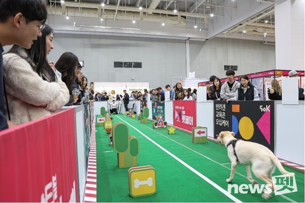 사진 마이팀페어스