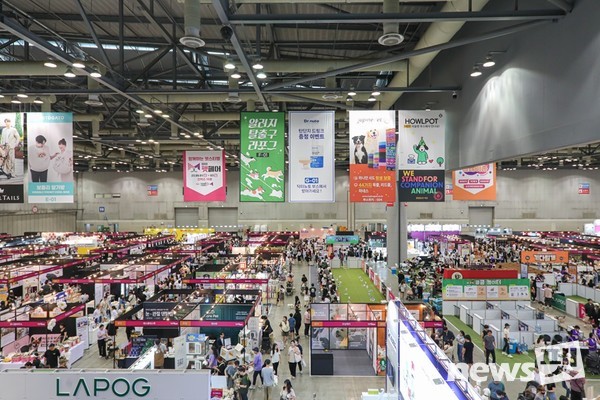 사진 마이팀페어스