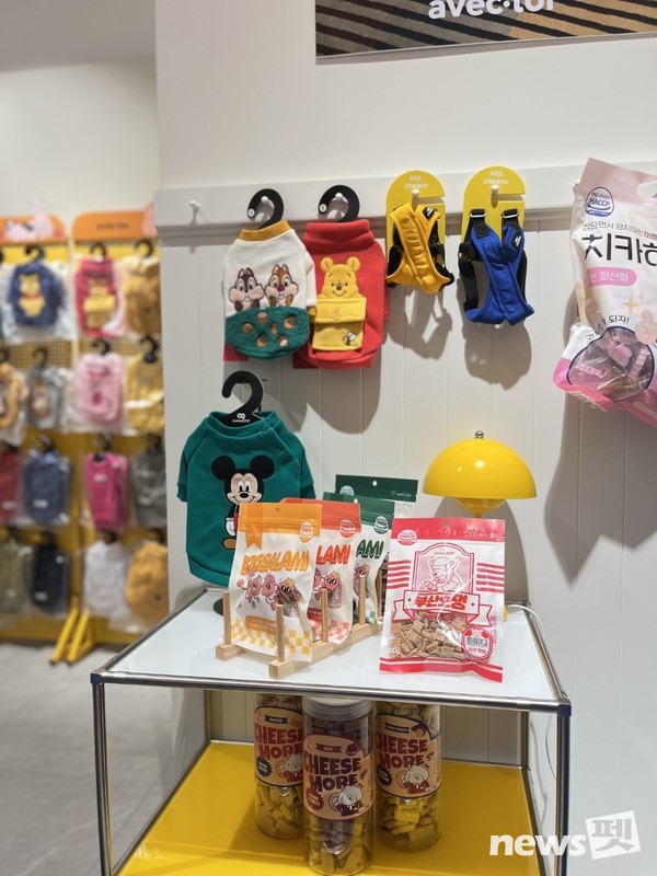 사진 엠알에스인터내셔널