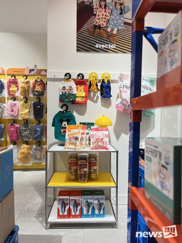 사진 엠알에스인터내셔널