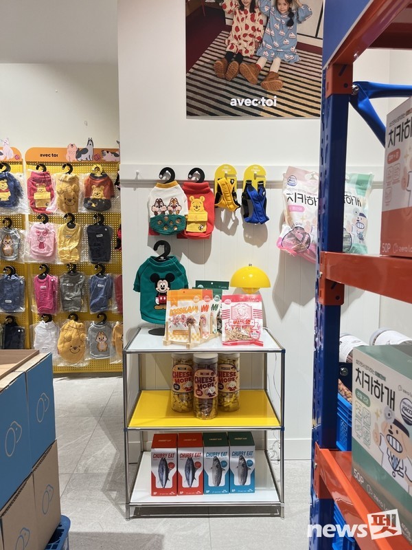 사진 엠알에스인터내셔널