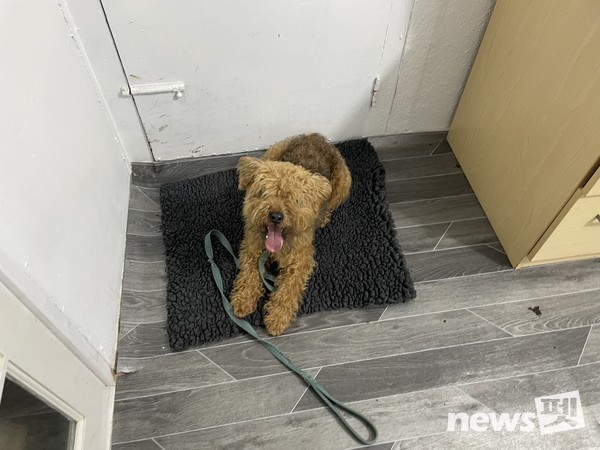 Place-점차 대기시간과 거리를 늘려간다. 사진 필자제공