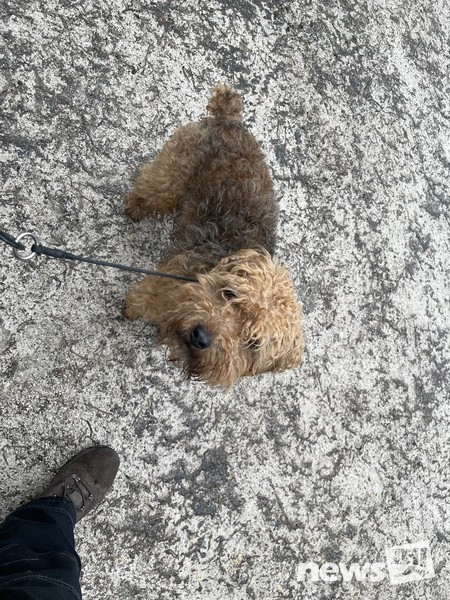 주변 카페옆에서 DMR 중. 사진 필자제공