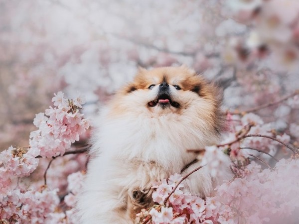 사진 이랜드파크