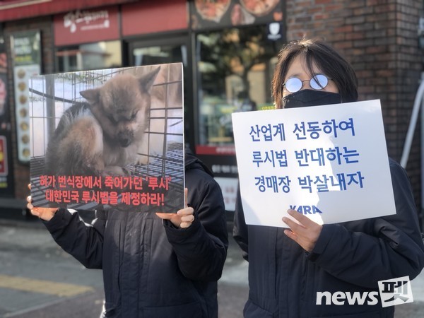 동물권행동 카라 등 19개 동물보호단체로 구성된 '루시의 친구들'이 지난 6일 위성곤 국회의원의 의정보고회가 열린 서귀포학생문화원 앞에서 루시법을 지지하는 집회 및 기자회견을 열었다. 사진 동물권행동카라