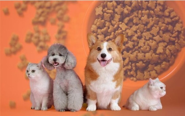 사진 농식품수출정보