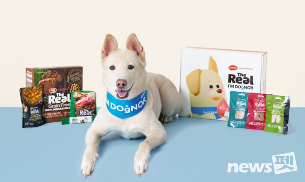 사진 건국대학교