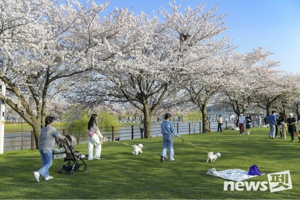 전남 순천시–그린아일랜드. 사진 문화체육관광부