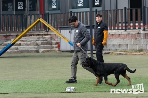 지난 2월 농림축산식품부 등이 참석한 가운데 열린 KCMC문화원 반려견 기질평가 시연 모습. 사진 KCMC문화원