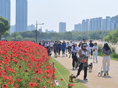지난해 5월 개최된 ‘댕댕이와 함께하는 태화강 국가정원 걷기 대회’ 모습. 사진 애니언파크