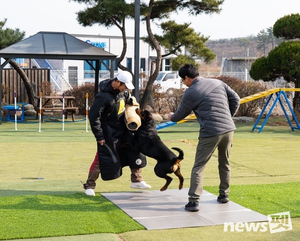 지난 2월 농림축산식품부 등이 참석한 가운데 열린 KCMC문화원 반려견 기질평가 시연 모습. 사진 KCMC문화원