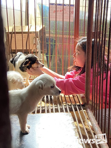‘루시의 친구들’은 지난 17일 충남 홍성군 위탁 유기동물보호소에서 보호중인 동물 105마리를 전원 구조했다고 밝혔다. [사진=루시의 친구들]