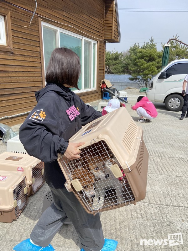 동물권행동 카라를 비롯한 동물보호단체들의 연대모임 ‘루시의 친구들’은 지난 17일 충남 홍성군 위탁 유기동물보호소에서 보호중인 동물 105마리를 전원 구조했다고 18일 밝혔다.
