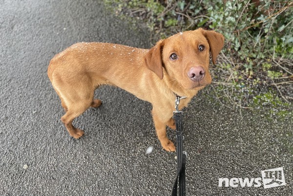 마일로-갑작스런 우박에 살짝 당황했다. 사진 필자제공