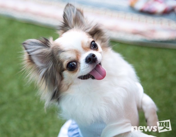 [사진=서울시 제공]