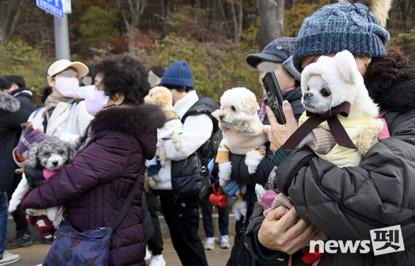 서울 서대문구가 성숙한 반려동물 양육 문화 확산을 위해 이달 17일 ‘서대문 내품애(愛)센터’를 개소한다. 지난해 11월 28일 연희동 안산(鞍山) 황톳길 입구에서 열린 ‘서대문구, 반려견과 함께하는 산책로 및 놀이터 개장 행사’ 모습. 사진 서대문구