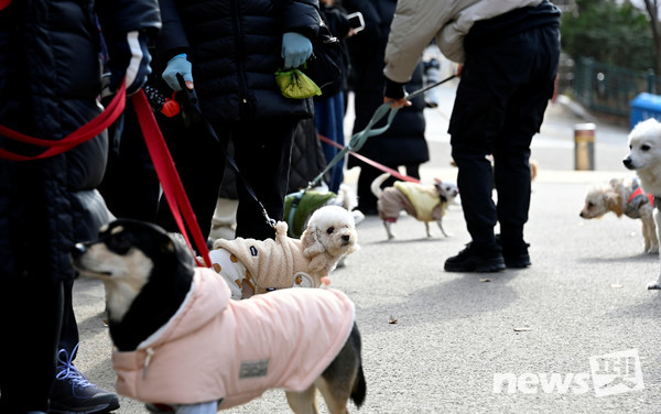 서울 서대문구가 성숙한 반려동물 양육 문화 확산을 위해 이달 17일 ‘서대문 내품애(愛)센터’를 개소한다. 지난해 11월 28일 연희동 안산(鞍山) 황톳길 입구에서 열린 ‘서대문구, 반려견과 함께하는 산책로 및 놀이터 개장 행사’ 모습. 사진 서대문구