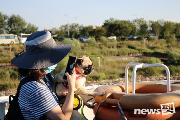 댕댕크루즈 모습. 사진 펫츠고트래블