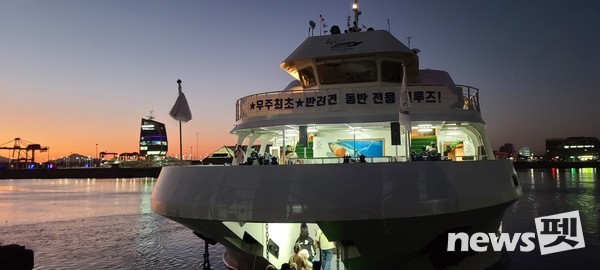 댕댕크루즈 모습. 사진 펫츠고트래블