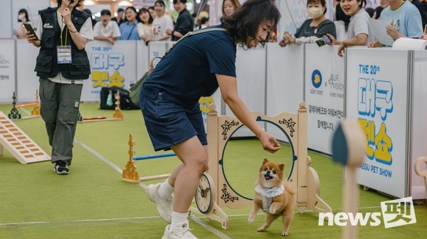 2023년 대구펫쇼 모습. 사진 대구광역시