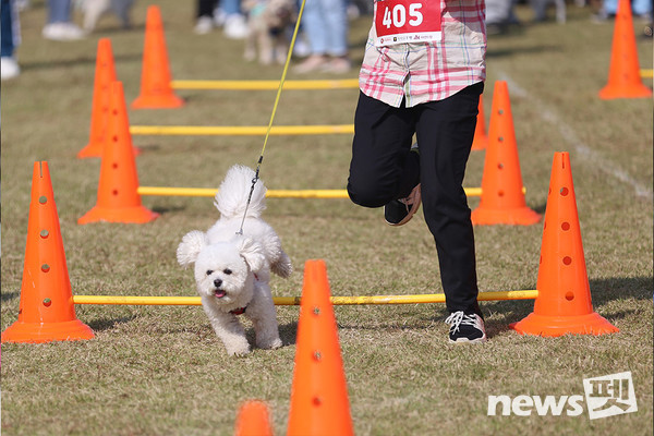 [사진=2024년 광진 반함축제 홈페이지 캡처]