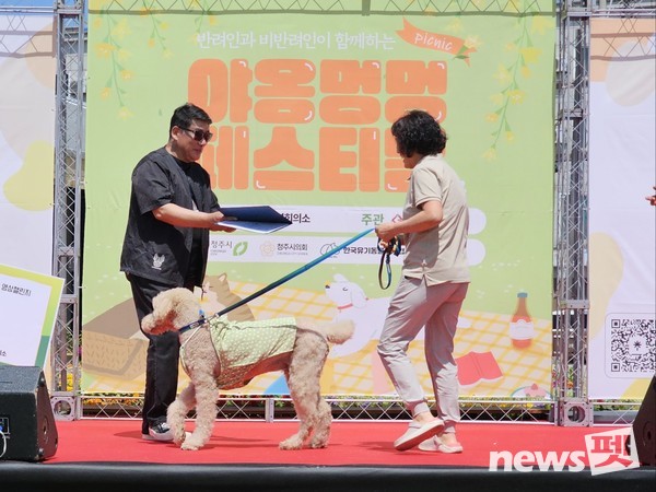 사진 한국유기동물복지협회