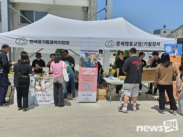 사진 한국유기동물복지협회