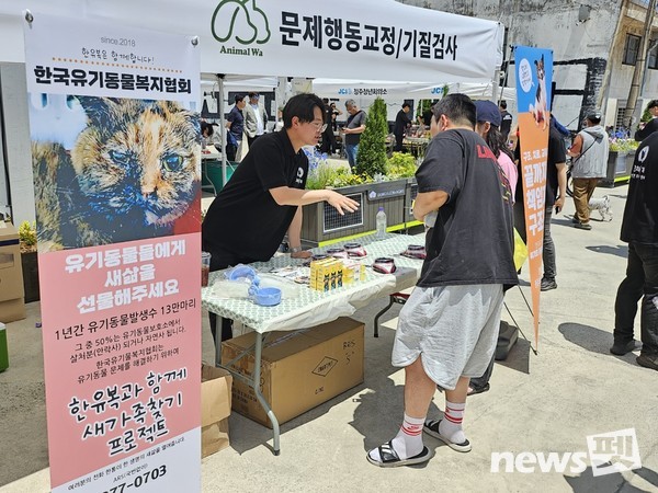 사진 한국유기동물복지협회