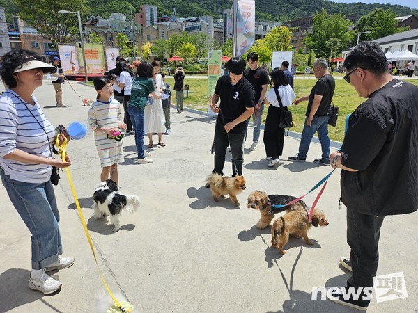 사진 한국유기동물복지협회