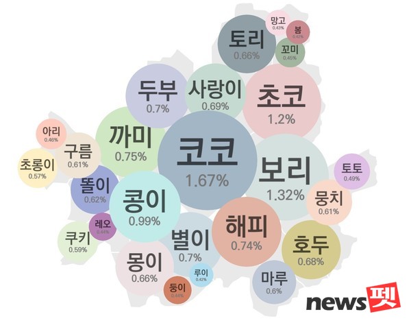 서울시 4개(동대문, 마포, 양천, 송파구) 자치구 반려동물 이름 현황. 자료 서울디지털재단