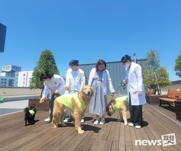 한국동물교감치유학회는 3일 경기 시흥시 소재 석경의료재단 센트럴병원에서 병원 근로자들을 대상으로 동물교감치유 프로그램을 진행했다. 사진 한국동물교감치유학회