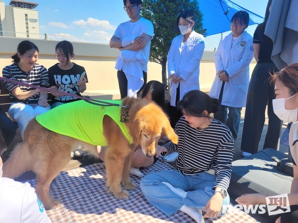 한국동물교감치유학회는 3일 경기 시흥시 소재 석경의료재단 센트럴병원에서 병원 근로자들을 대상으로 동물교감치유 프로그램을 진행했다. 사진 한국동물교감치유학회